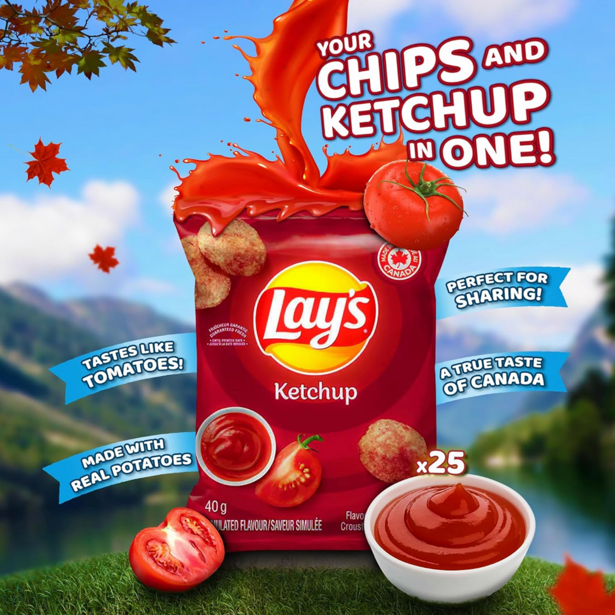 Canadian ketchup chips ketchup tomato flavor