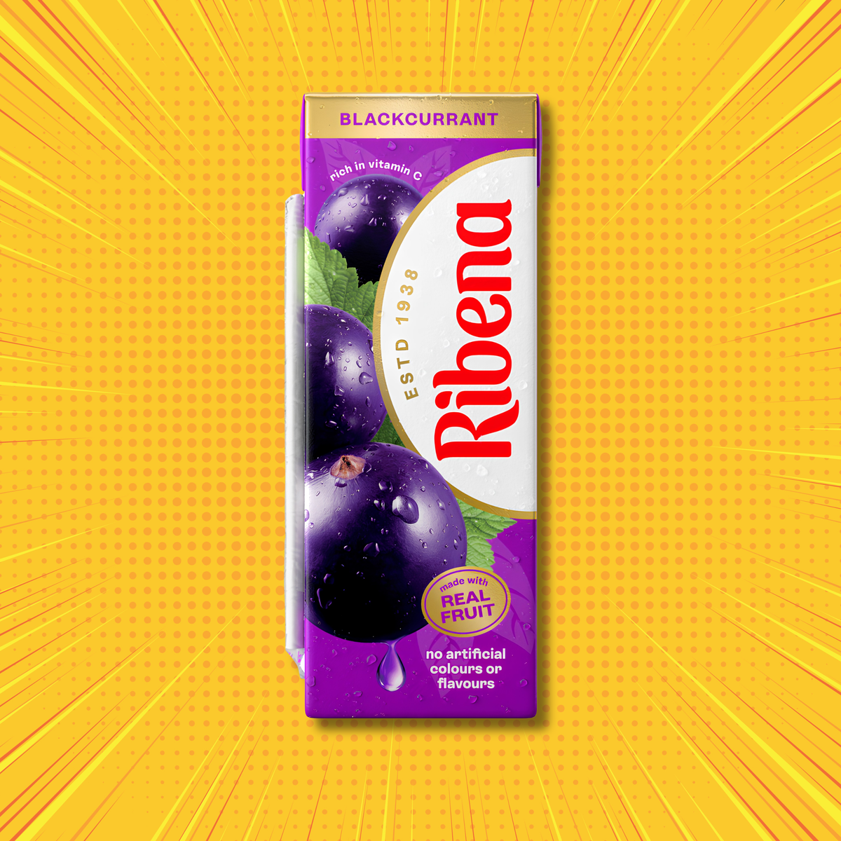 Ribena Blackcurrant fruit drink