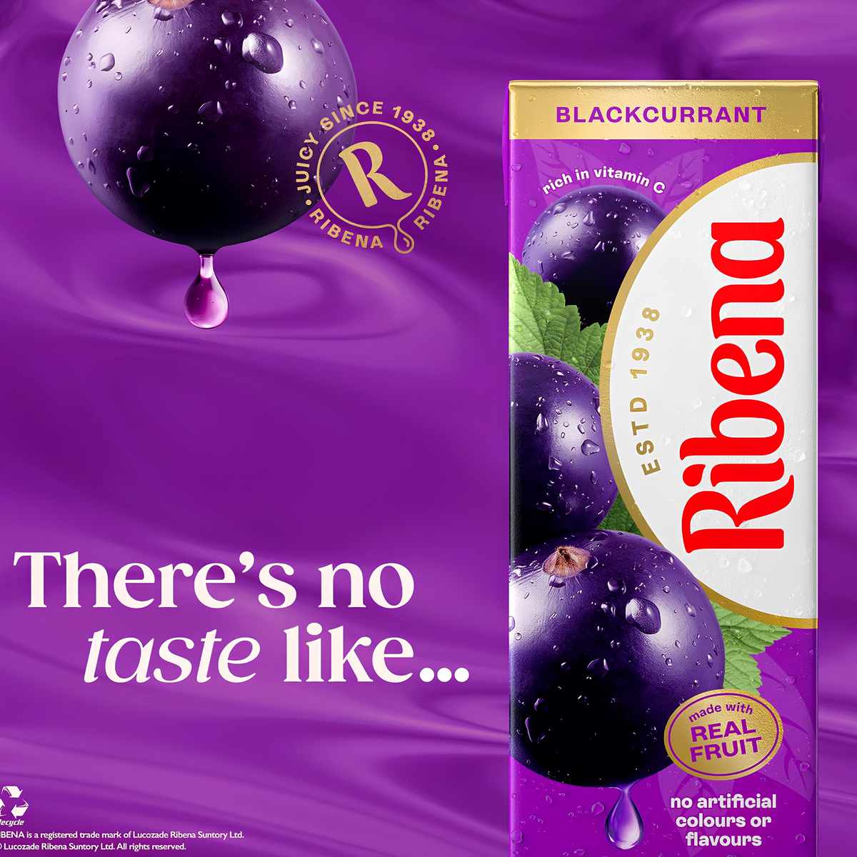 Ribena Blackcurrant fruit drink