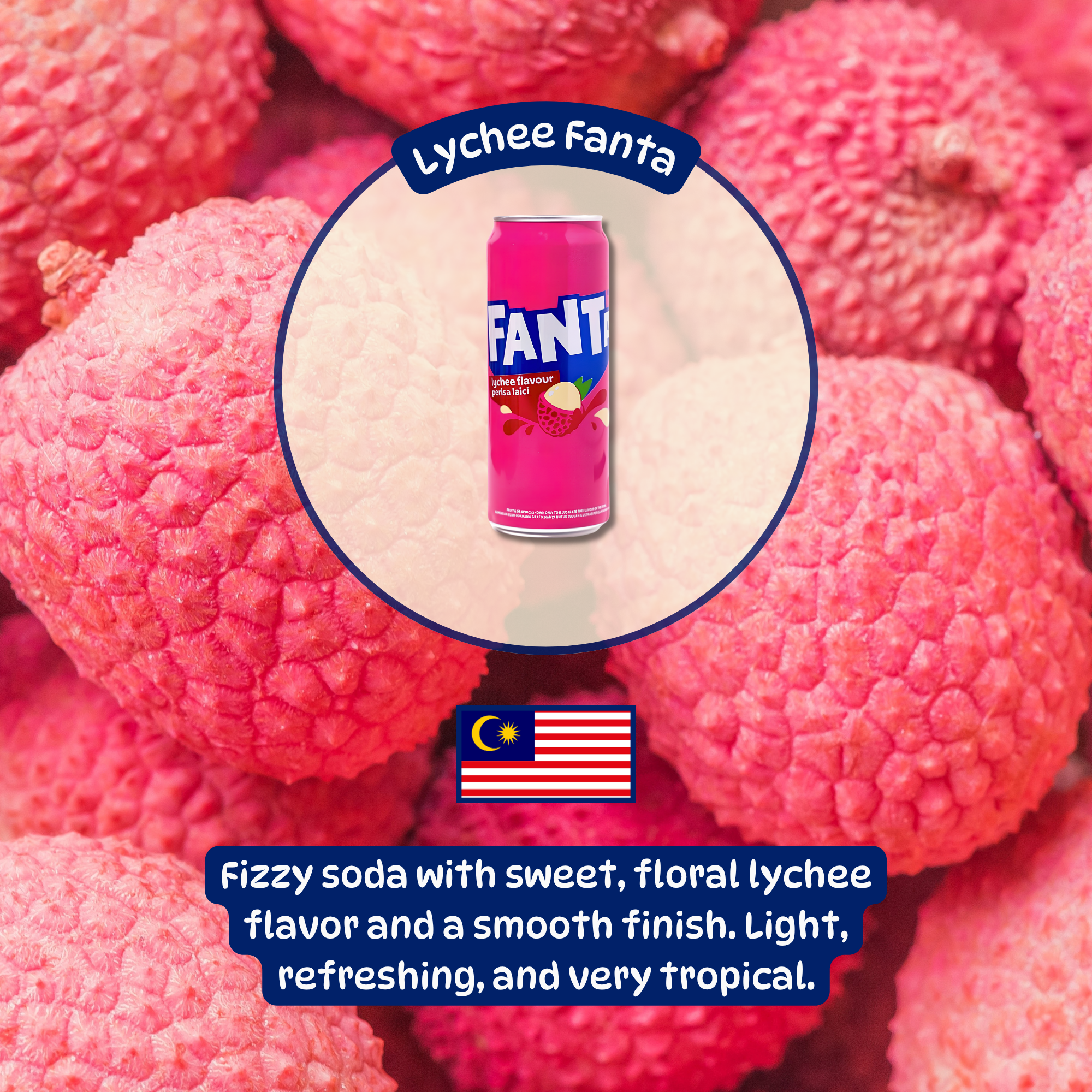 Bottle of Lychee Fanta from Malaysia with text describing the smooth, floral, lychee flavor. Shop Malaysian soda online.
